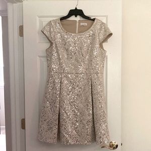 Beautiful Calvin Klein Party Dress